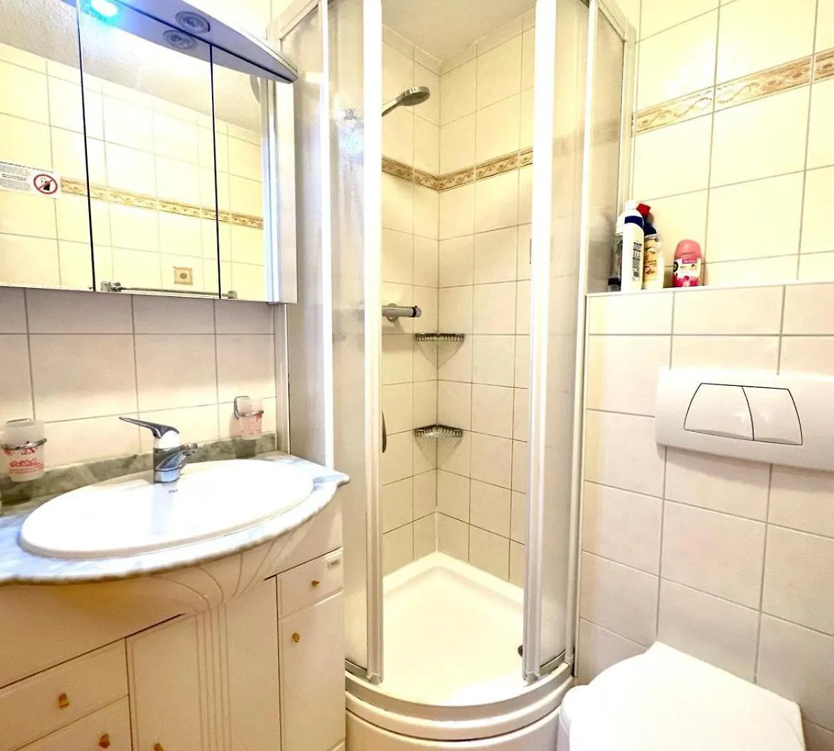Modern Apartment In Chatel With Fantastic Views